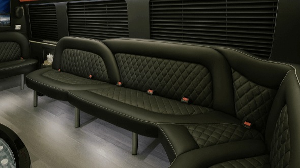 Interior of Washington Party Bus Company's 18 Passenger Party Bus in Alexandria