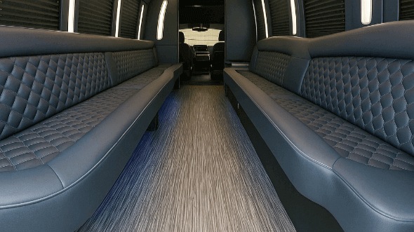 washington 28 passenger party bus rental